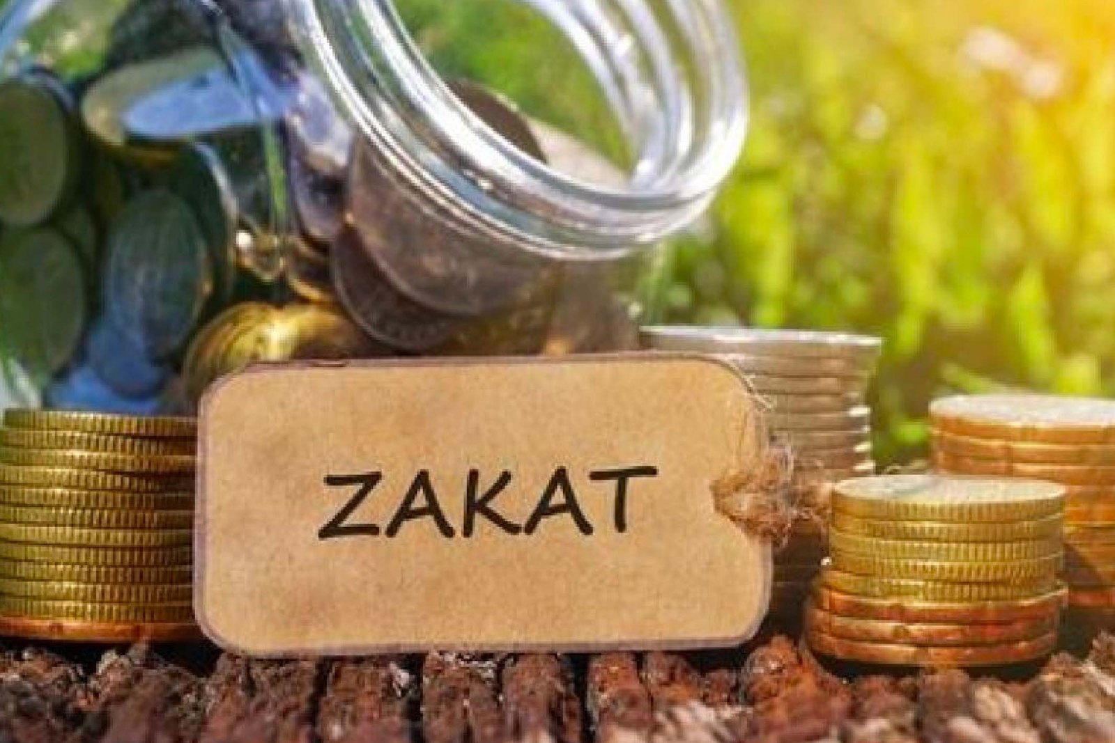 pengertian zakat